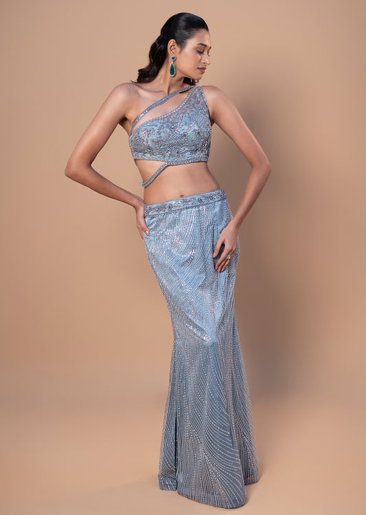 Ice Blue Net Mermaid Set with Bead & Sequin Embroidered Choli