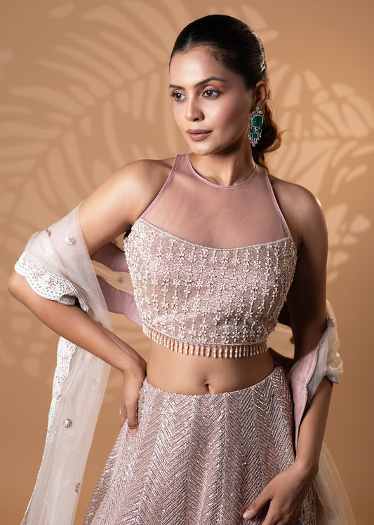 Dusty Rose Embroidered Lehenga Set