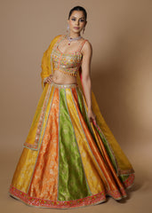 Multicolor raw silk panelled embroidered lehenga set