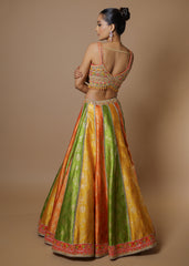 Multicolor raw silk panelled embroidered lehenga set