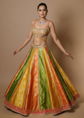Multicolor raw silk panelled embroidered lehenga set