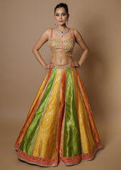 Multicolor raw silk panelled embroidered lehenga set