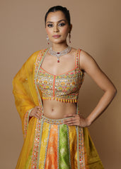 Multicolor raw silk panelled embroidered lehenga set