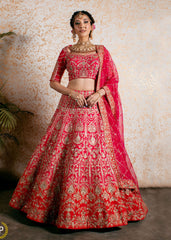 Cerise Pink And Red Abstract Nature Lehenga Set