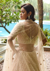 Blush Nude Sequinned Lehenga Set