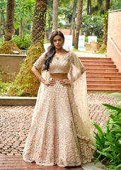 Blush Nude Sequinned Lehenga Set
