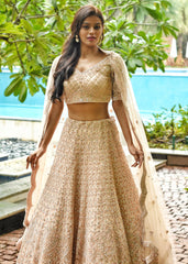 Blush Nude Sequinned Lehenga Set