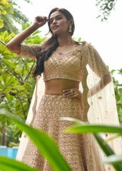 Blush Nude Sequinned Lehenga Set