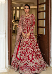 Deep Red And Gold Applique Bridal Anarkali Set