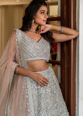 Stone Grey Silver Lehenga Set