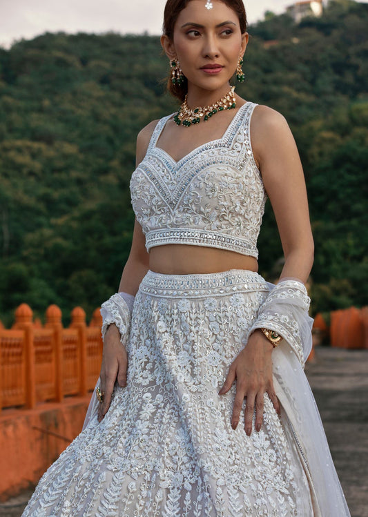 Frosted Finesse  Lehenga set