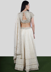 Ivory Gold Chikankari Lehenga Set