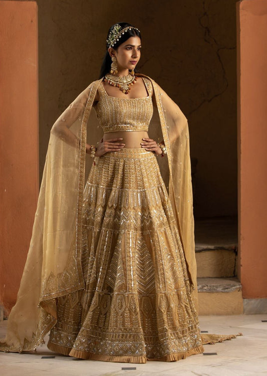 Beige Organza Lehenga Choli Set