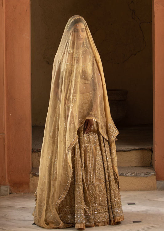Beige Organza Lehenga Choli Set