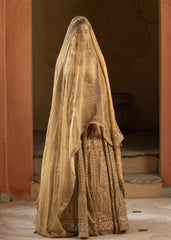 Beige Organza Lehenga Choli Set