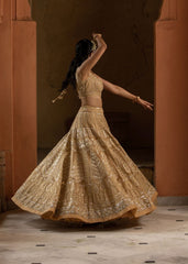 Beige Organza Lehenga Choli Set