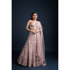 Blush Pink Art Nouveau Lehenga Set