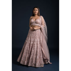 Blush Pink Art Nouveau Lehenga Set