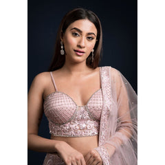 Blush Pink Art Nouveau Lehenga Set