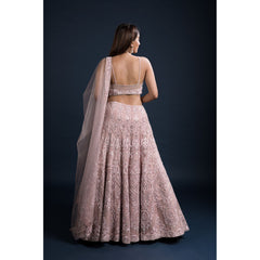Blush Pink Art Nouveau Lehenga Set