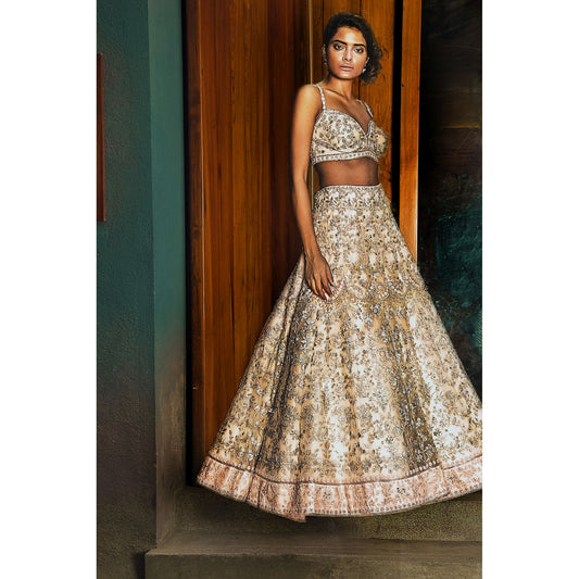Pale Blush Studded Lehenga Set