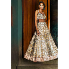 Pale Blush Studded Lehenga Set