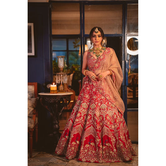 Deep Red And Gold Peacock Lehenga Set