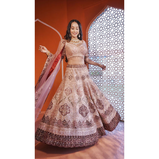 Minal - Blush Mauve Applique Lehenga Set