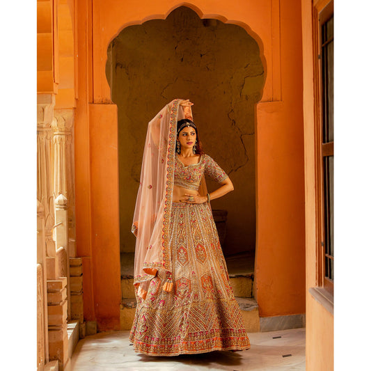 Pink Applique Lehenga