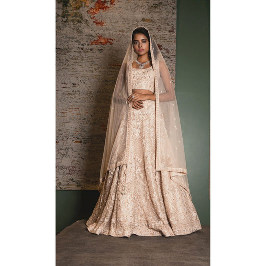 Nude Blush Self Embroidered Lehenga Set