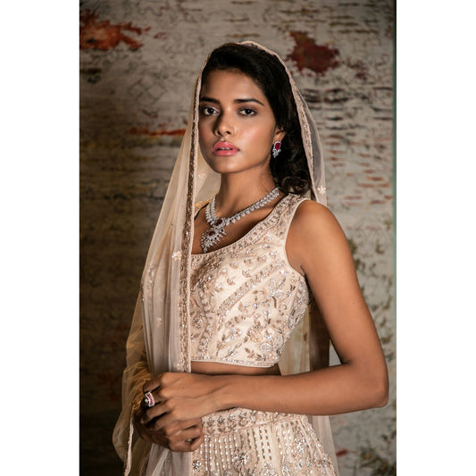 Nude Blush Self Embroidered Lehenga Set