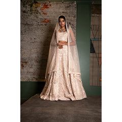 Nude Blush Self Embroidered Lehenga Set