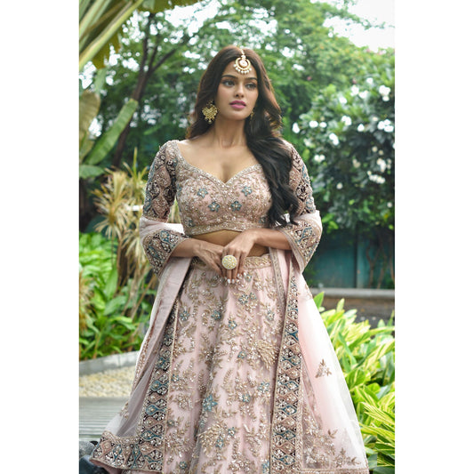 Blush Pink Vintage Lehenga Set