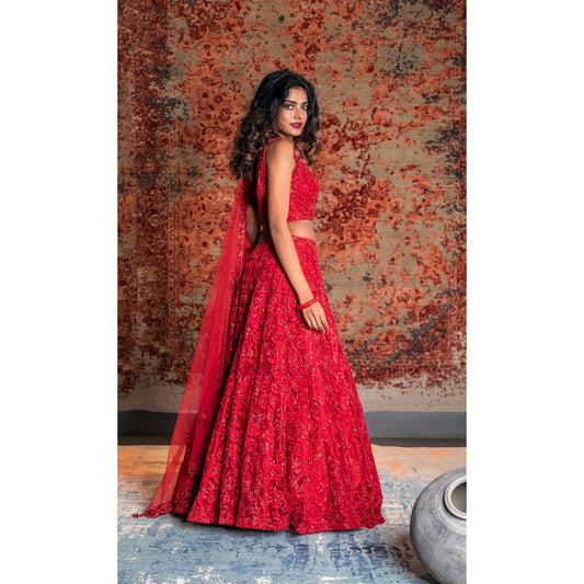 Scarlet Red Bagh Embroidered Net Lehenga Set