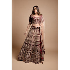 Maroon Velvet Archaic Lehenga Set
