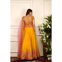 Mustard Yellow Mirrorwork Lehenga Set