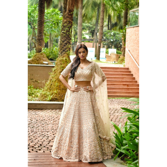 Blush Nude Sequinned Lehenga Set