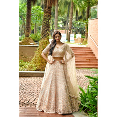 Blush Nude Sequinned Lehenga Set