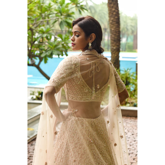 Blush Nude Sequinned Lehenga Set