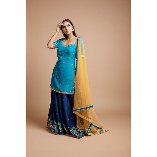 Blue Mirrorwork Sharara Set