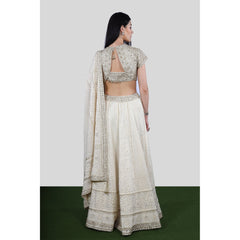 Ivory Gold Chikankari Lehenga Set
