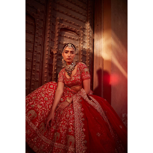 Royal Red Lehenga Set