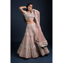 Copper Ice Lehenga Set